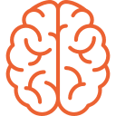 brain